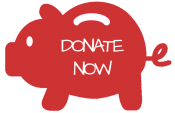 PLUS Donation Piggy Bank